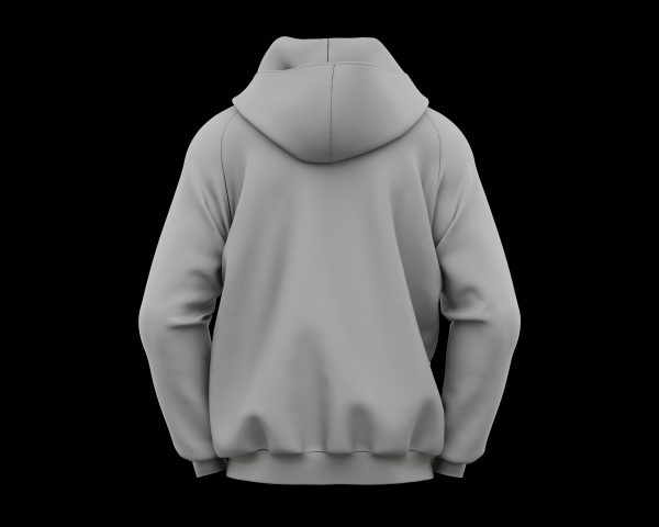 hoodie gris de dos